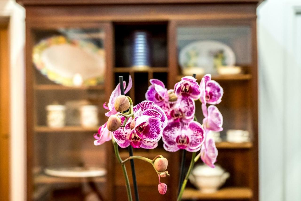 Il Salotto Di Nonna Cornelia 2 Hotel Napoli Eksteriør billede